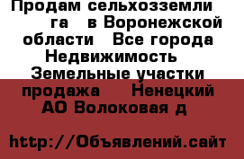 Продам сельхозземли ( 6 000 га ) в Воронежской области - Все города Недвижимость » Земельные участки продажа   . Ненецкий АО,Волоковая д.